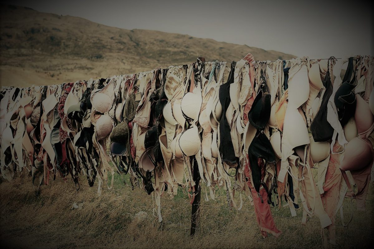 Plauderei aus der Wäsch´, 24.06.2018