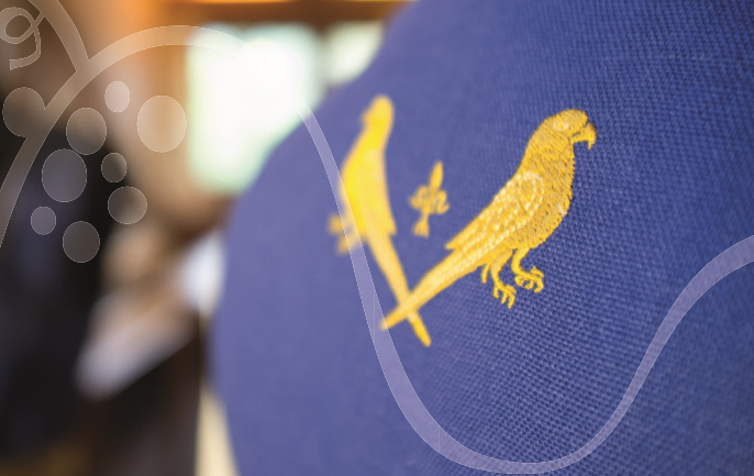 KL 0009 - Original Schürzenstoffpaket "Klosterneuburger Tracht", Seide uni